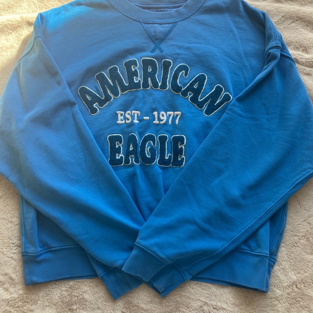 American Eagle Outfitters Blue Graphic Sweatshirt